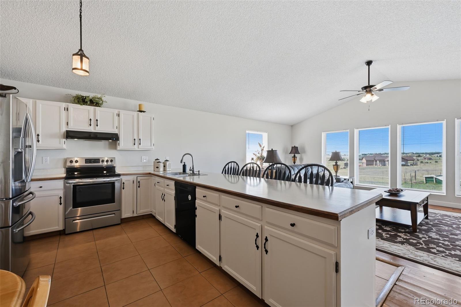 MLS Image #10 for 12835  forest green drive,elbert, Colorado