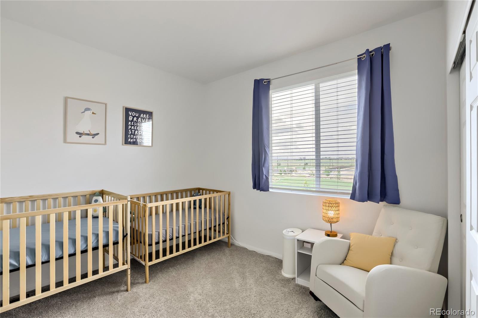 MLS Image #9 for 6119  two leaf drive,loveland, Colorado