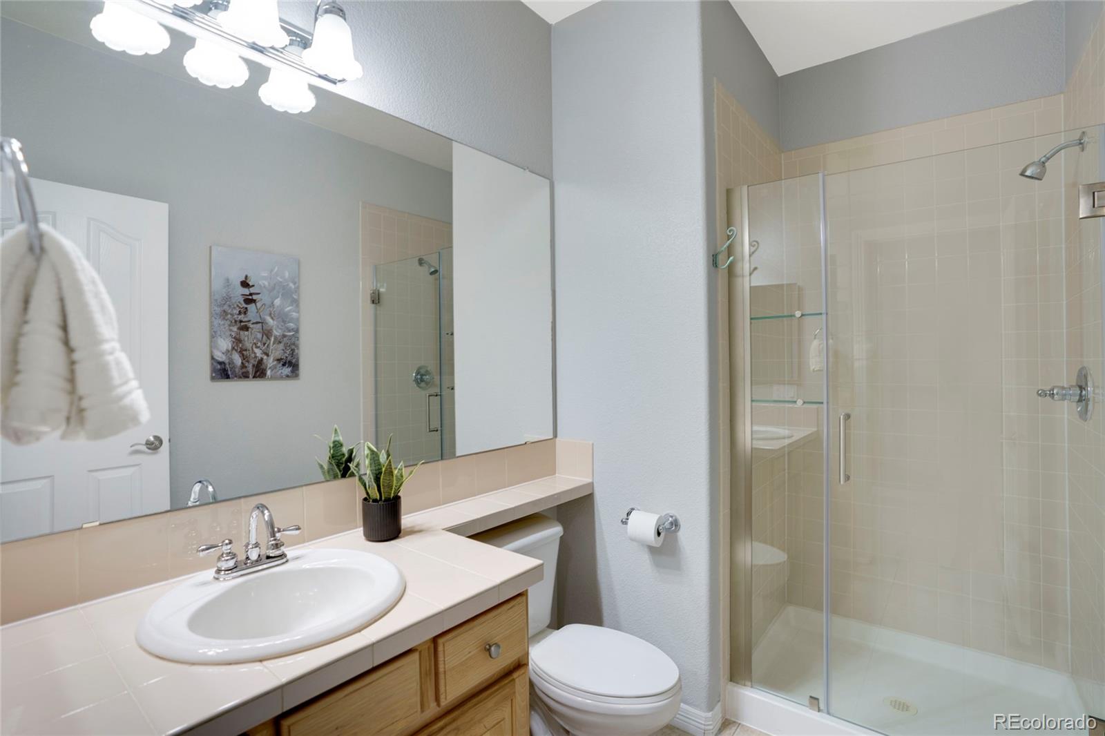 MLS Image #19 for 2586  pemberly avenue,highlands ranch, Colorado