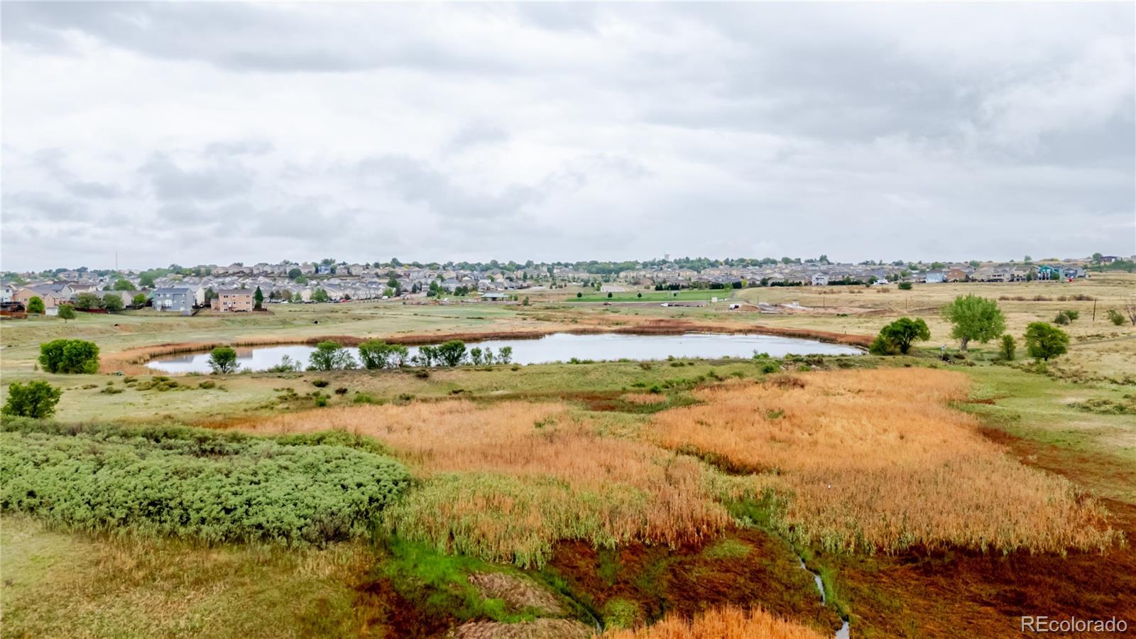 MLS Image #7 for 1235  lords hill drive,fountain, Colorado