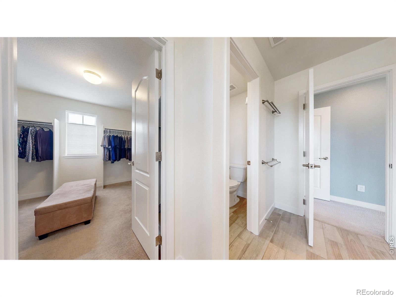 MLS Image #7 for 2840  fractus street,timnath, Colorado