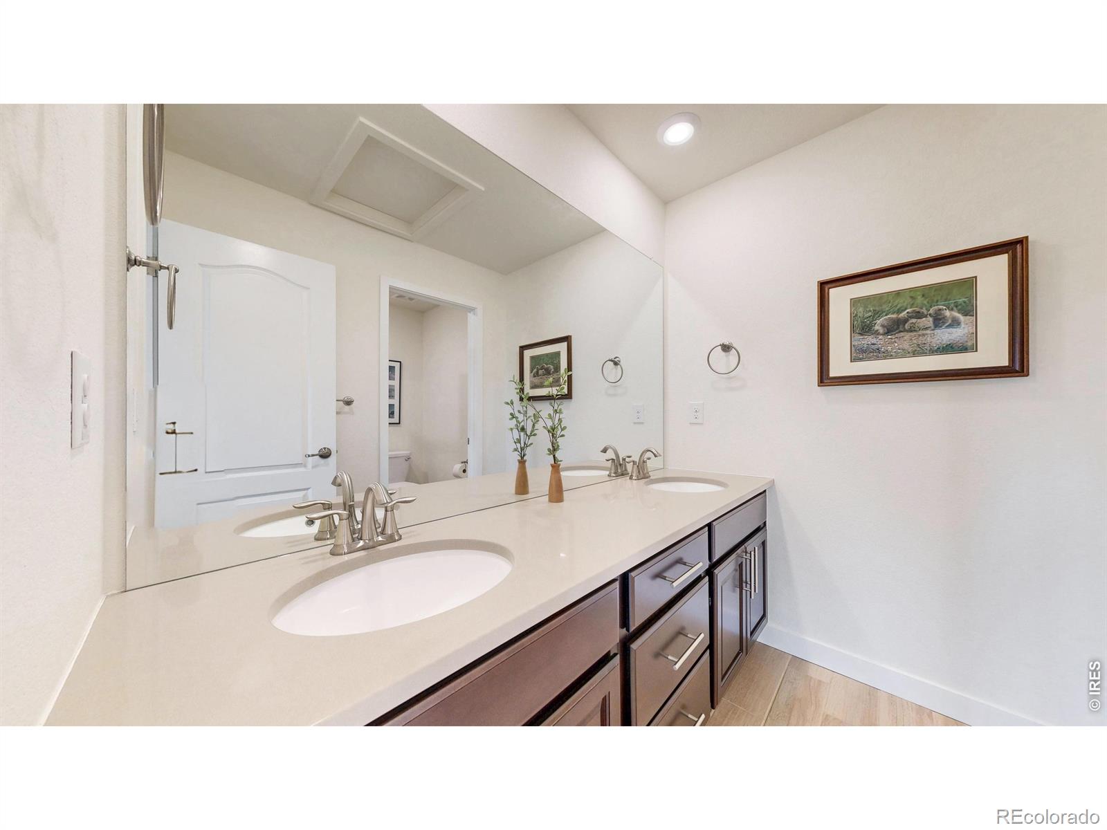 MLS Image #9 for 2840  fractus street,timnath, Colorado