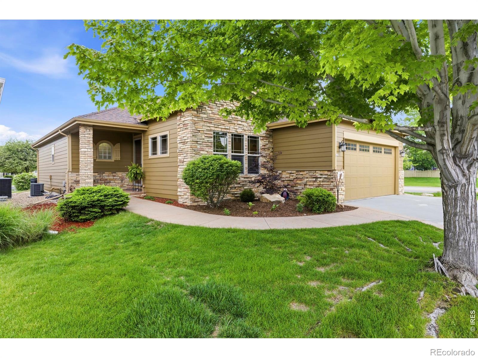 MLS Image #1 for 3285  current creek court,loveland, Colorado