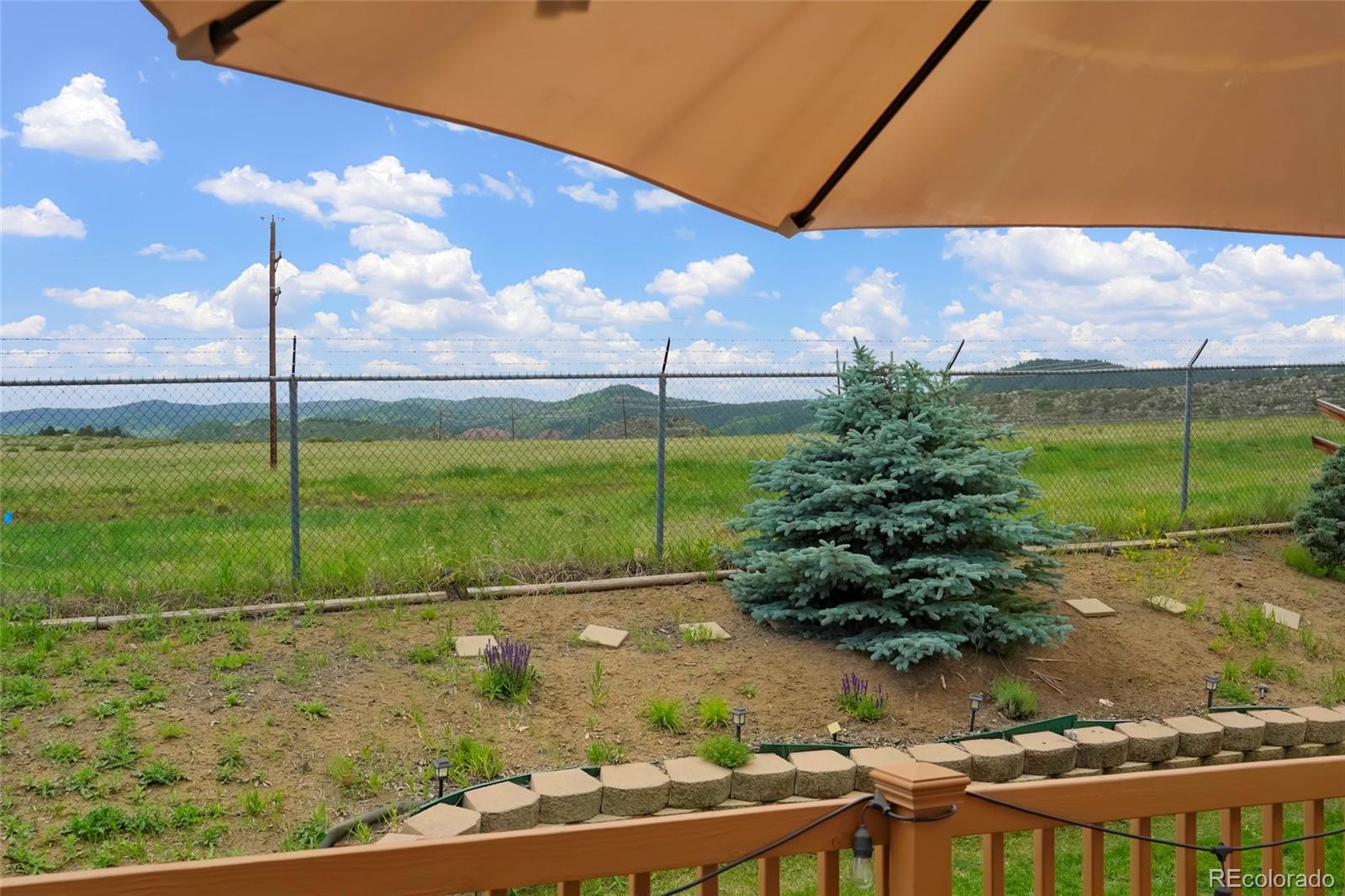 MLS Image #21 for 9681  marmot ridge circle,littleton, Colorado