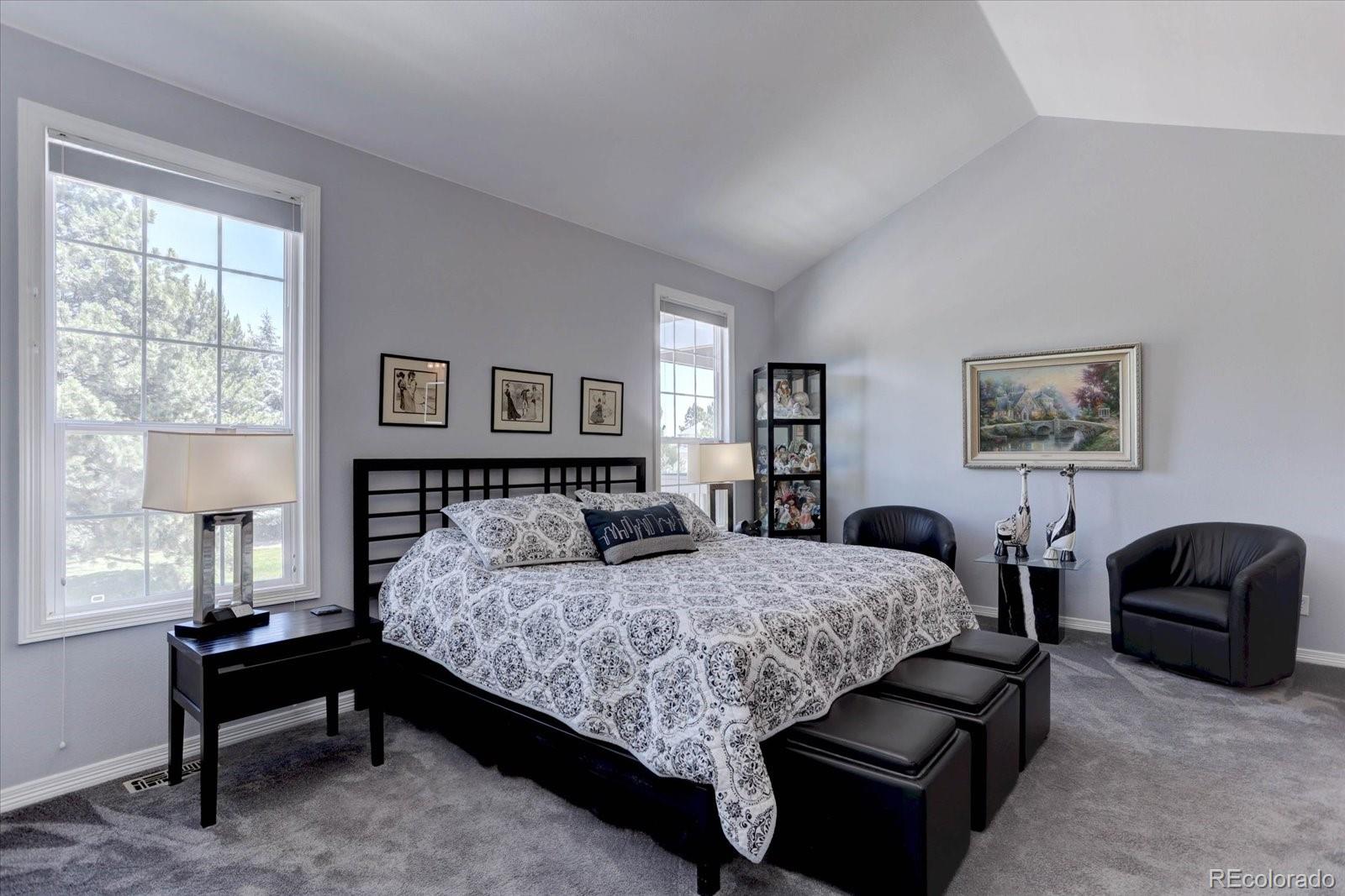 MLS Image #16 for 9823  firestone circle ,lone tree, Colorado