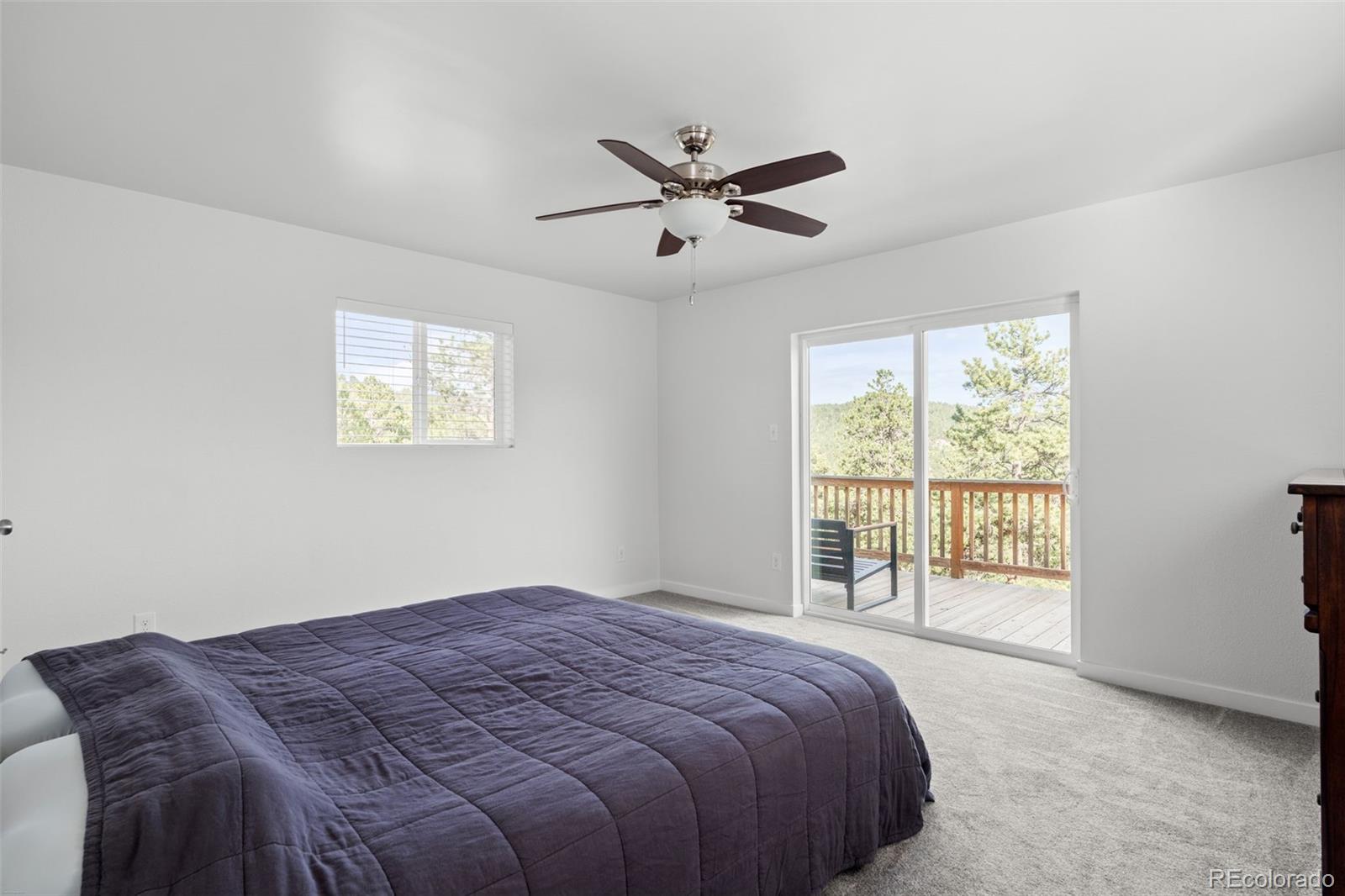 MLS Image #18 for 125  sun way,bailey, Colorado