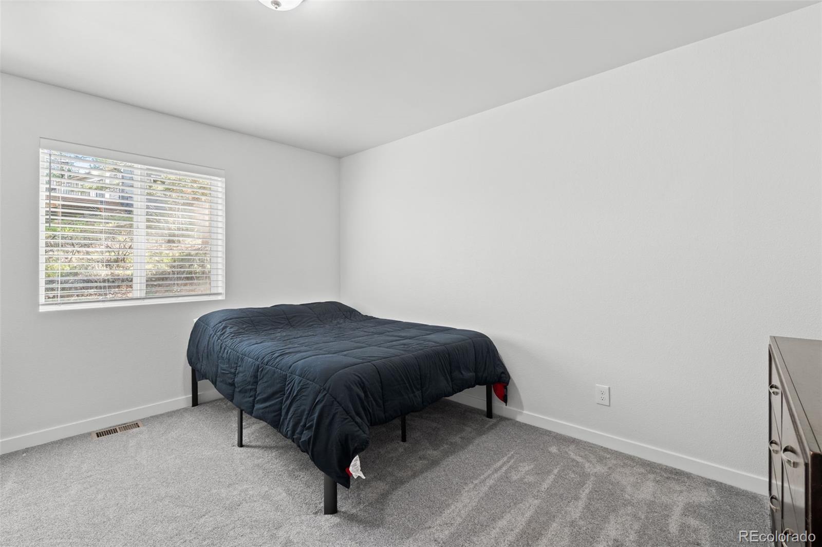 MLS Image #24 for 125  sun way,bailey, Colorado