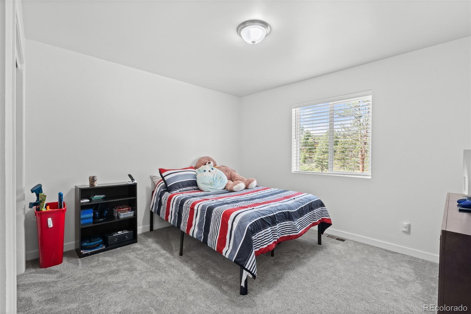 MLS Image #26 for 125  sun way,bailey, Colorado