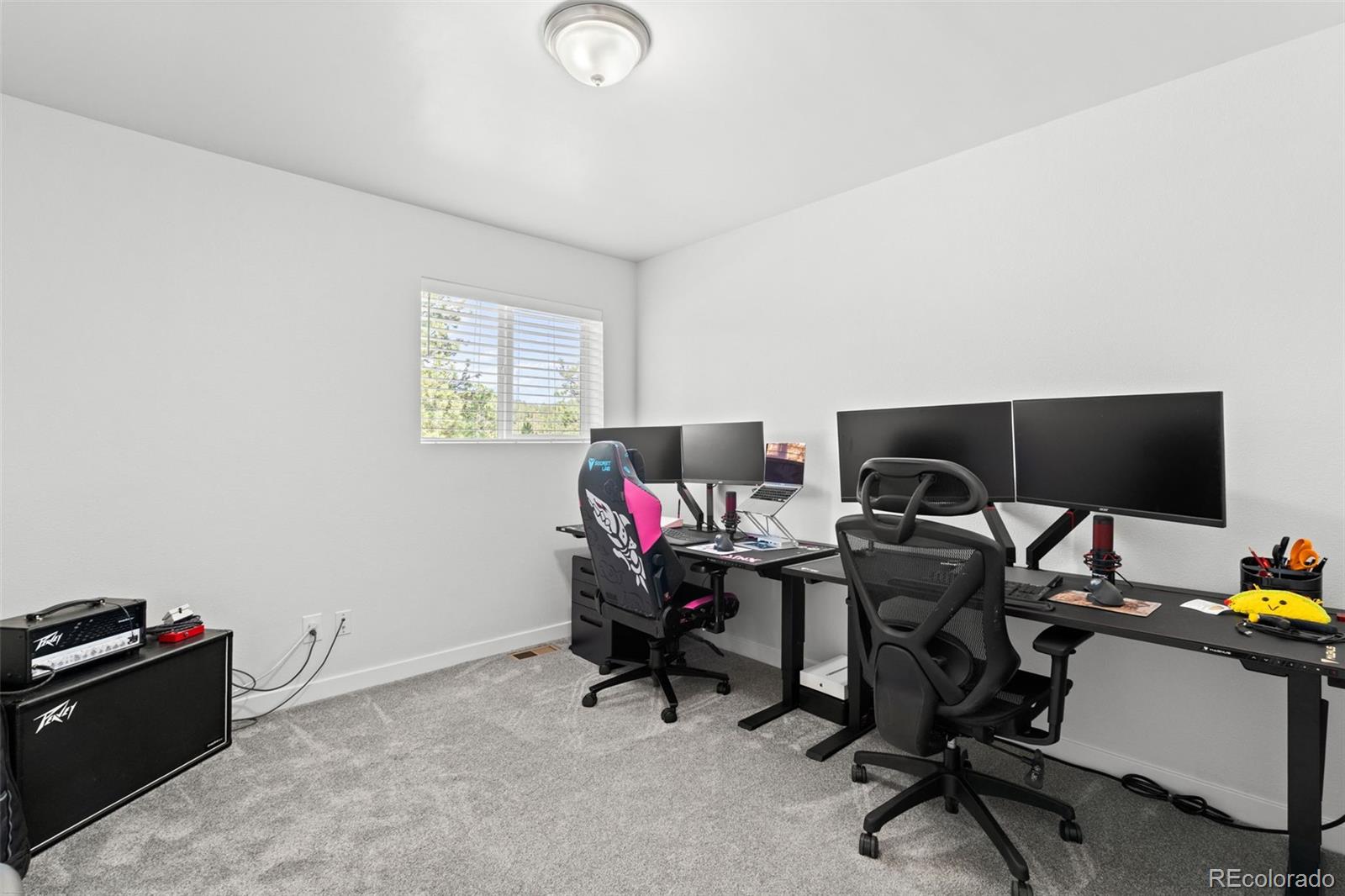 MLS Image #27 for 125  sun way,bailey, Colorado