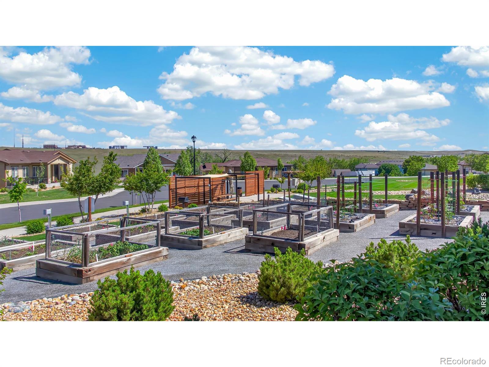 MLS Image #37 for 12556 w montane drive,broomfield, Colorado
