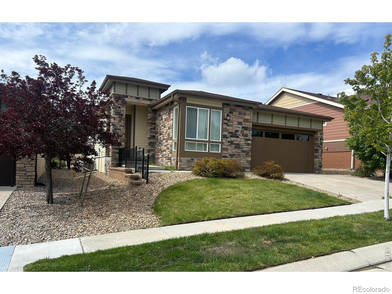 MLS Image #39 for 12556 w montane drive,broomfield, Colorado