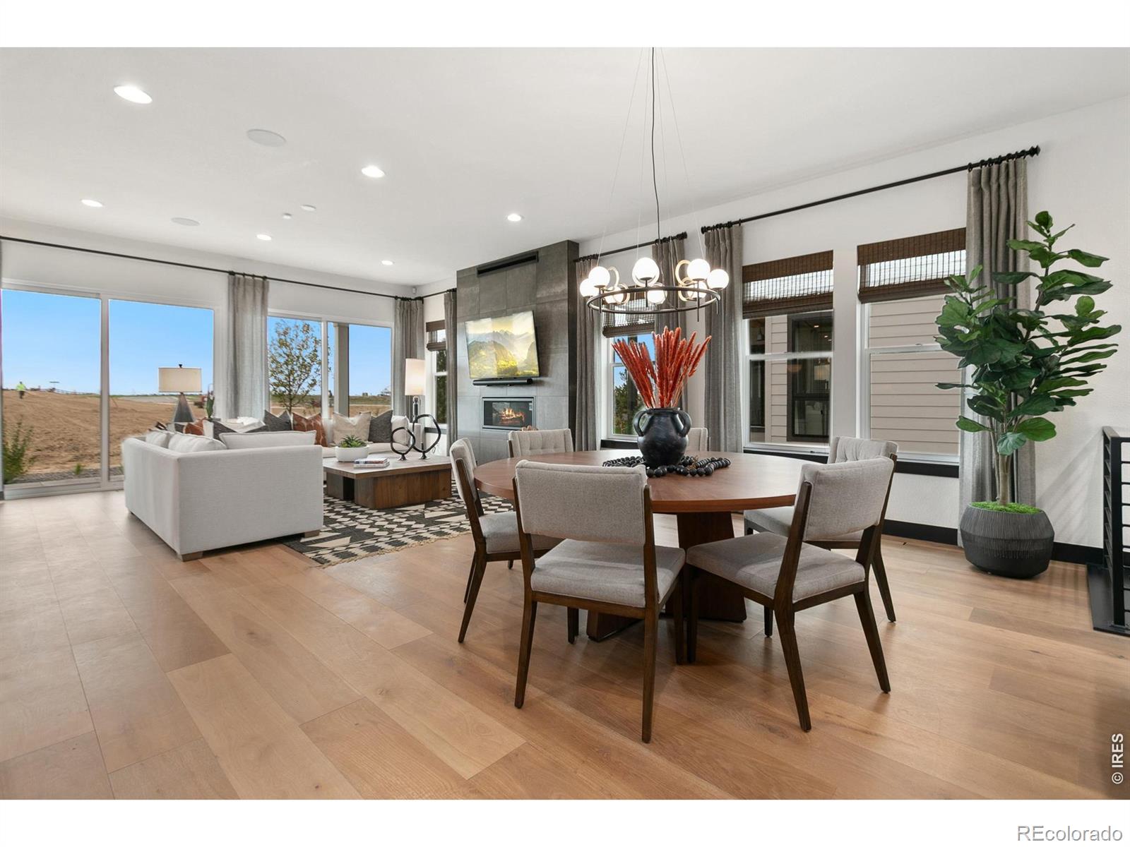 MLS Image #10 for 1374  weller court,timnath, Colorado