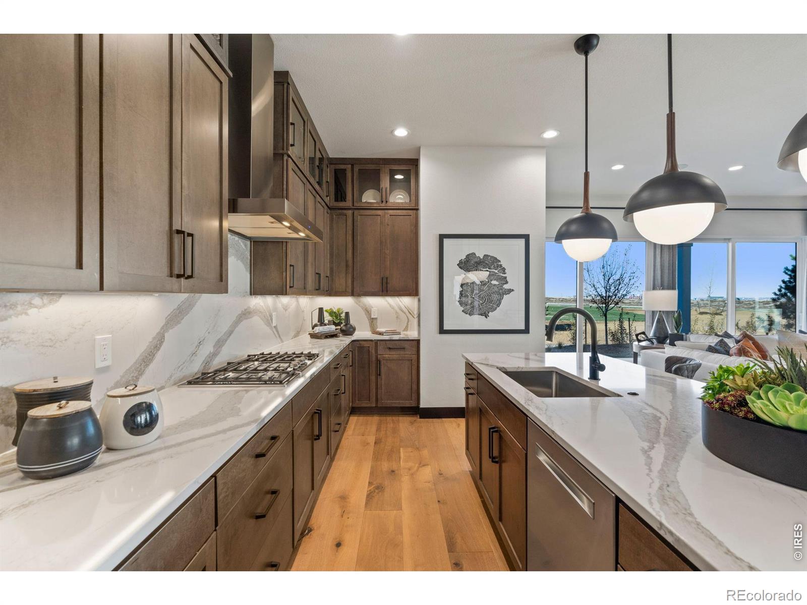 MLS Image #8 for 1374  weller court,timnath, Colorado