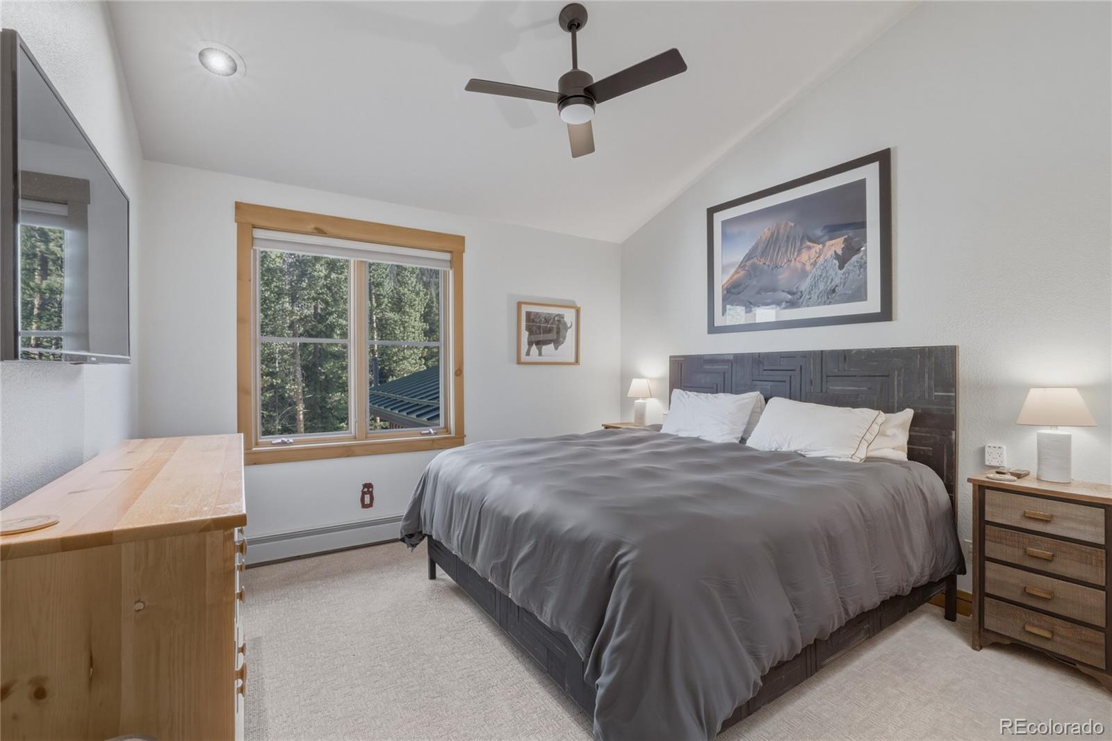MLS Image #18 for 226  alpen rose place,dillon, Colorado