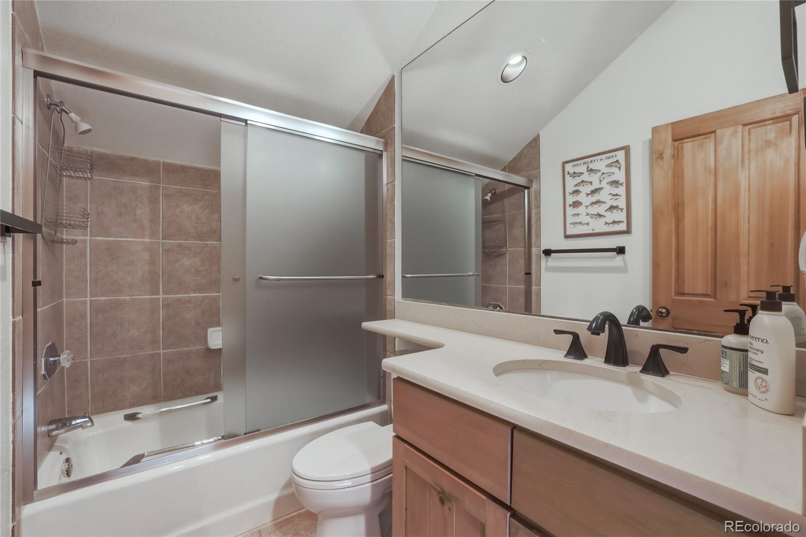 MLS Image #22 for 226  alpen rose place,dillon, Colorado
