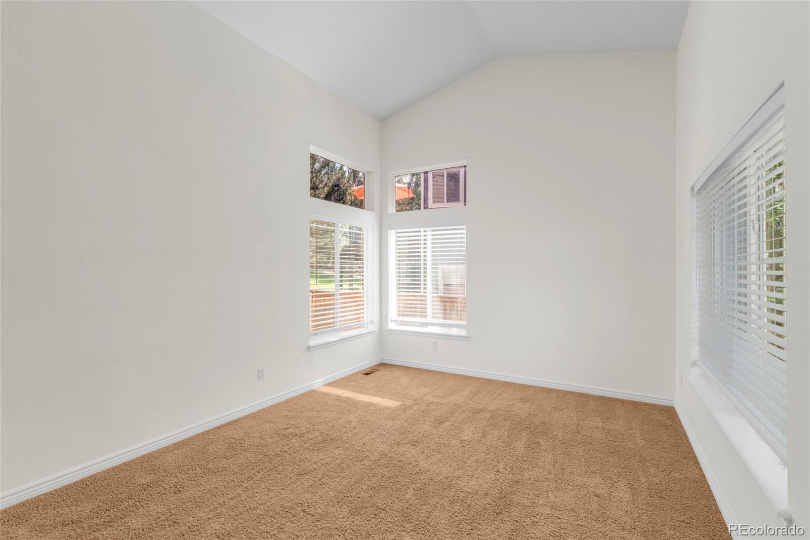 MLS Image #17 for 9320  wolfe street,highlands ranch, Colorado