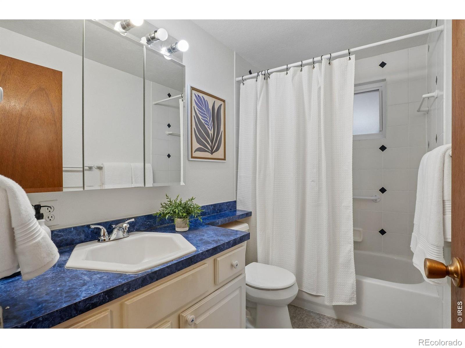 MLS Image #33 for 1208  vivian street,longmont, Colorado