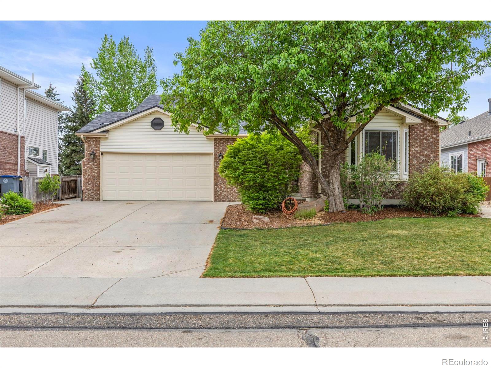 MLS Image #1 for 2517  falcon drive,longmont, Colorado