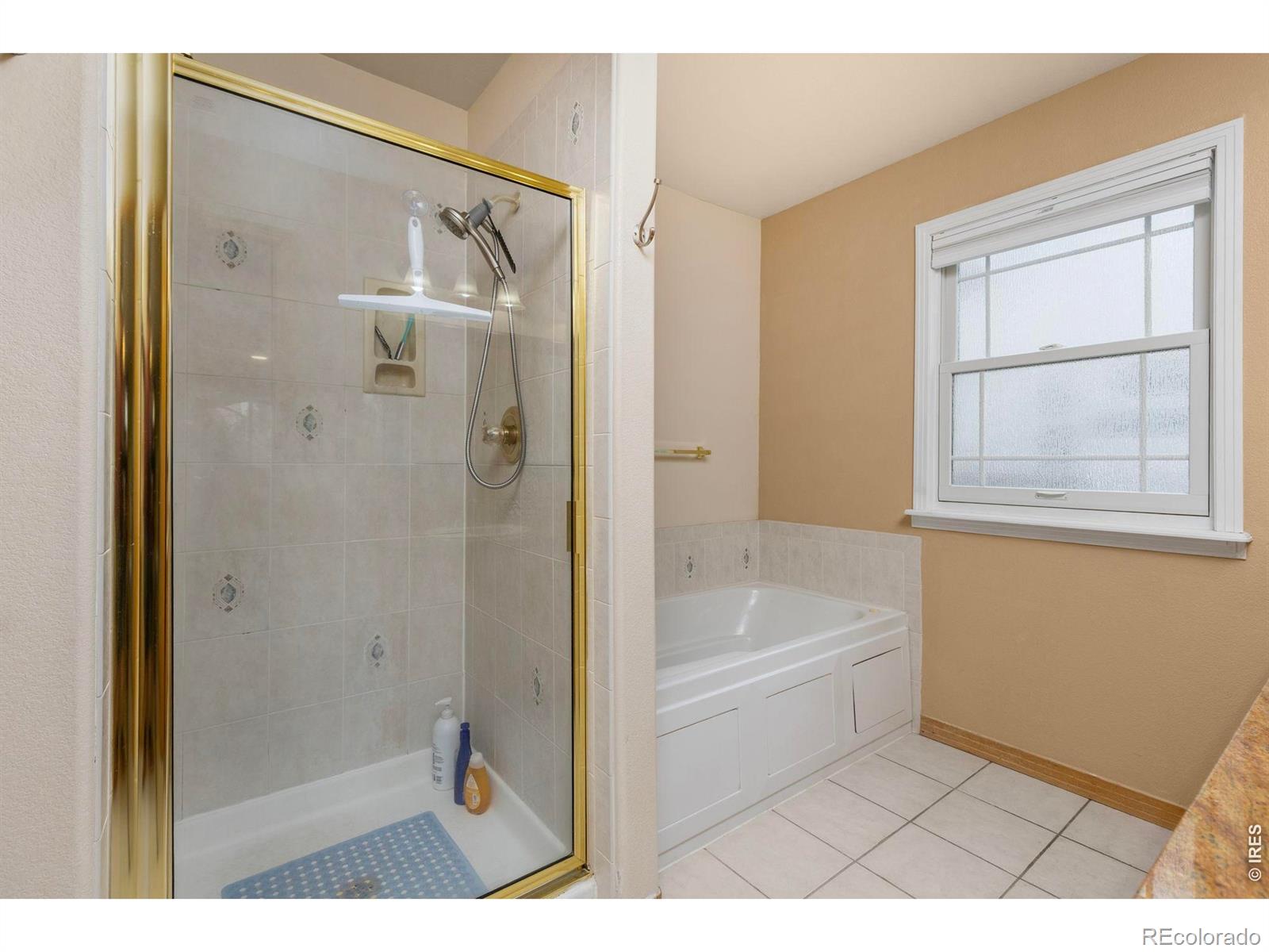 MLS Image #17 for 2517  falcon drive,longmont, Colorado