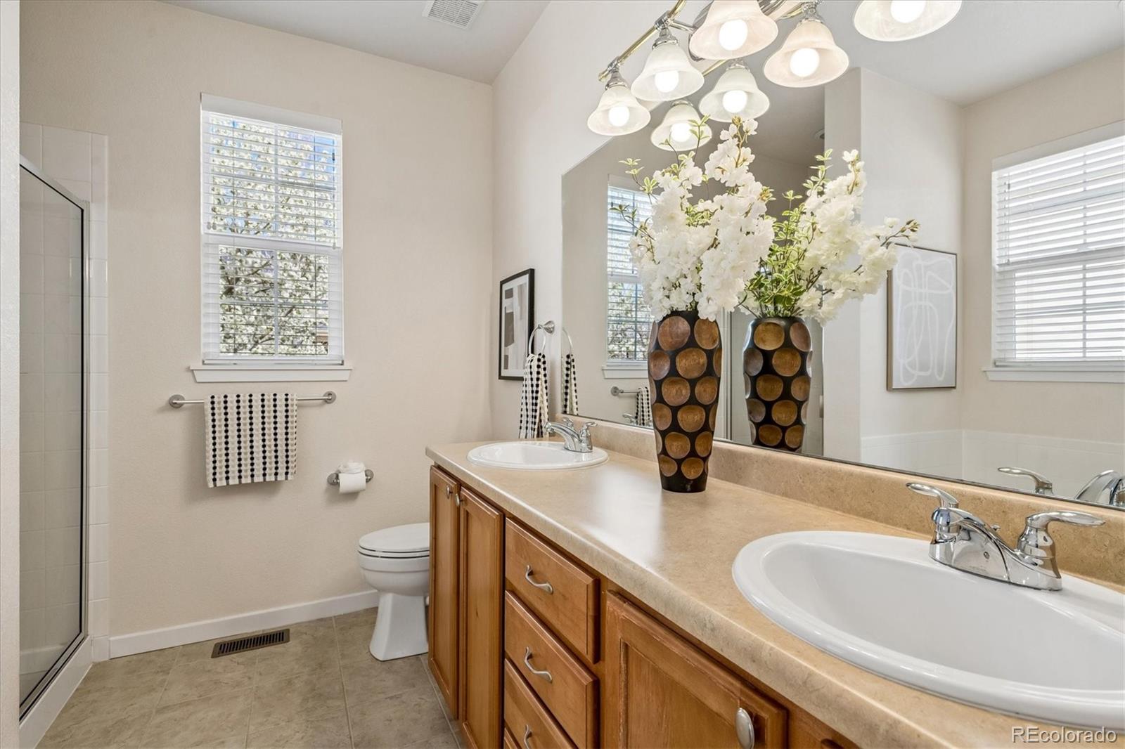 MLS Image #11 for 3722  red deer trail,broomfield, Colorado