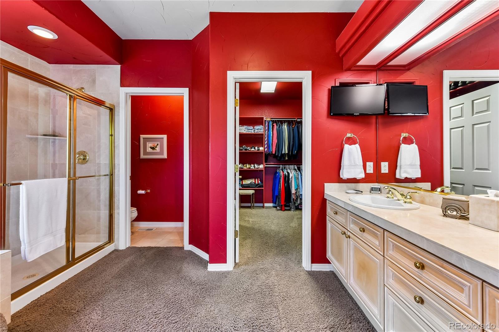 MLS Image #20 for 2510  tournament drive,castle rock, Colorado