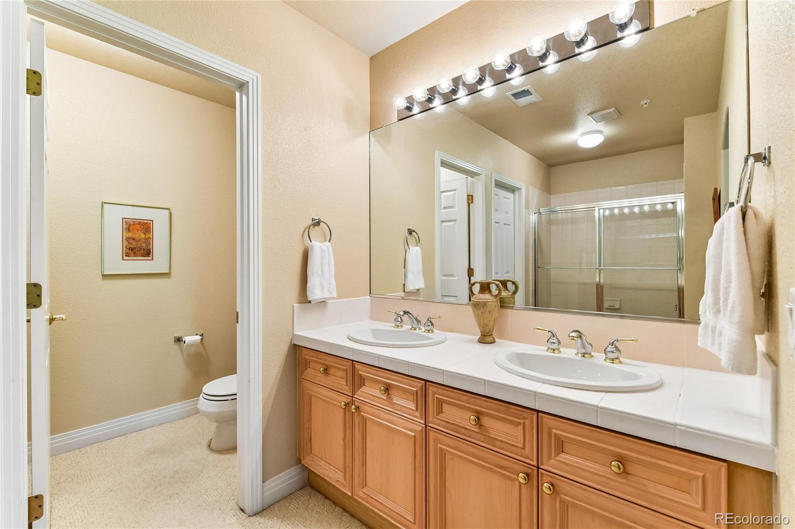 MLS Image #32 for 2510  tournament drive,castle rock, Colorado