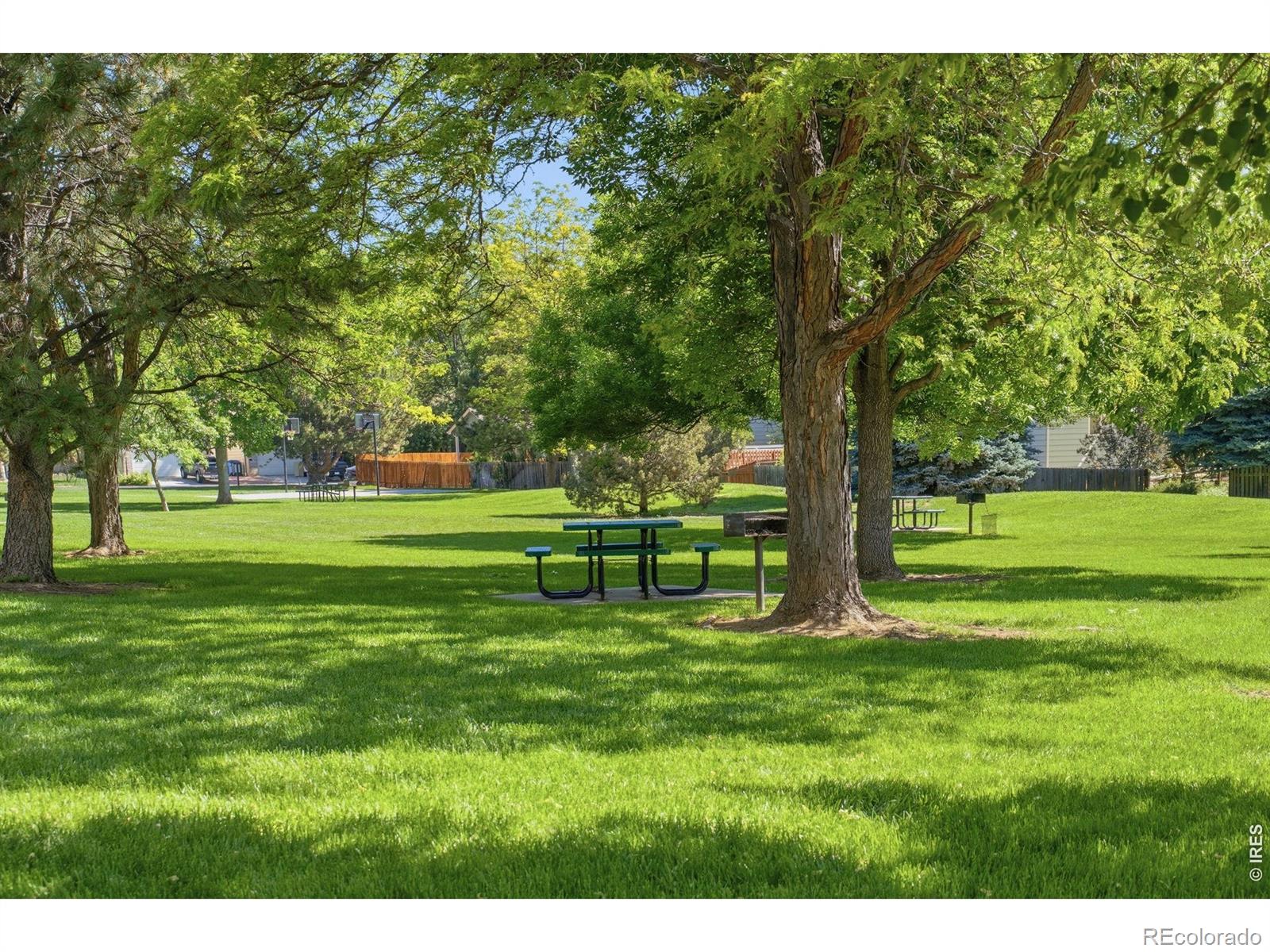 MLS Image #43 for 4262  pin oak drive,loveland, Colorado