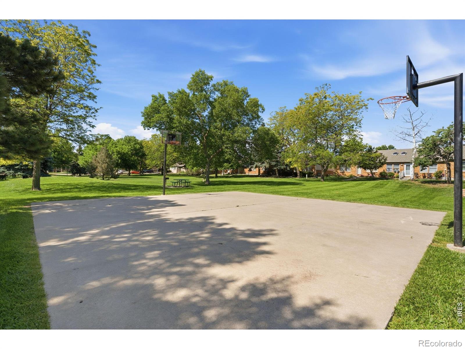 MLS Image #44 for 4262  pin oak drive,loveland, Colorado