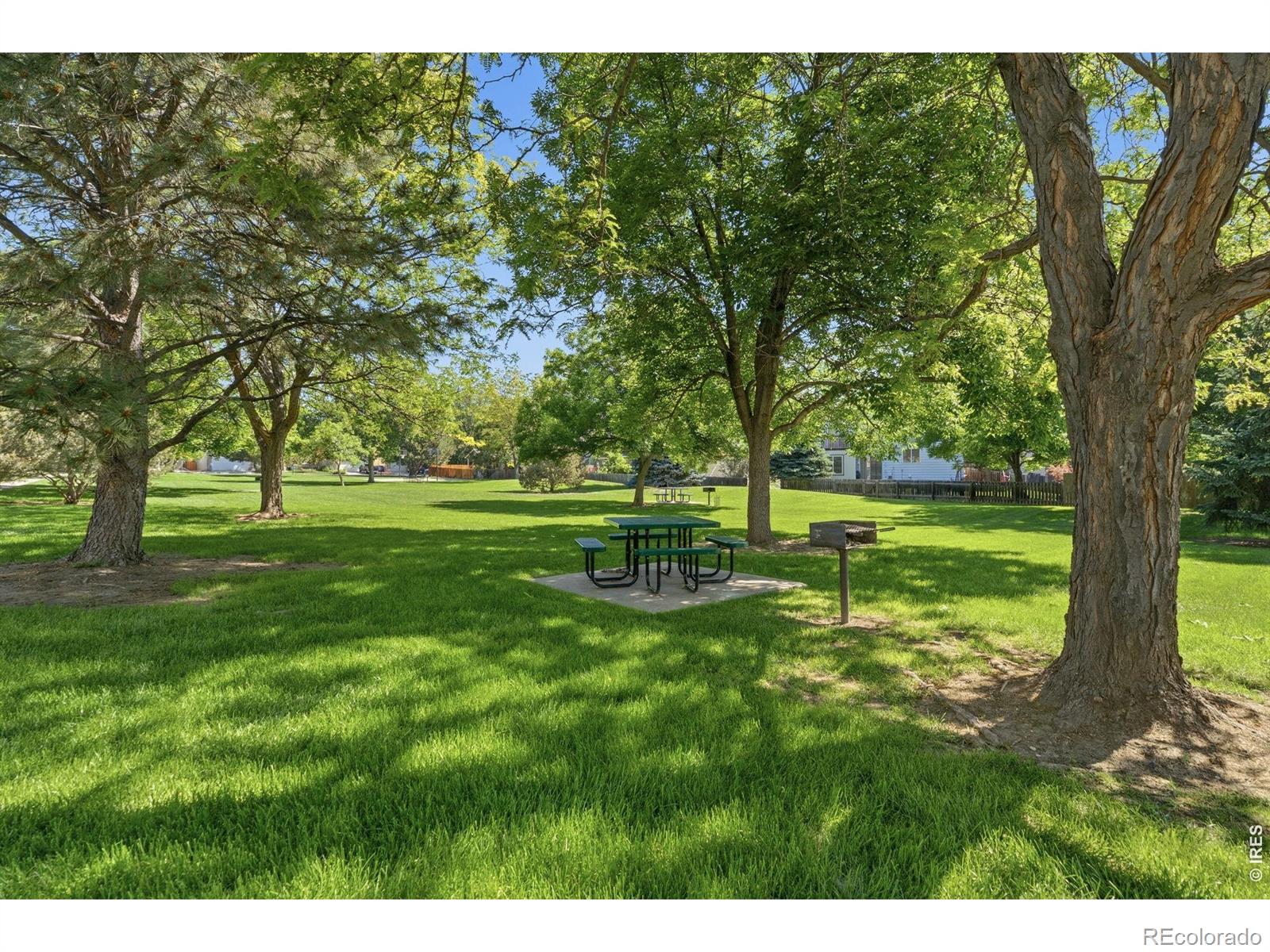 MLS Image #45 for 4262  pin oak drive,loveland, Colorado