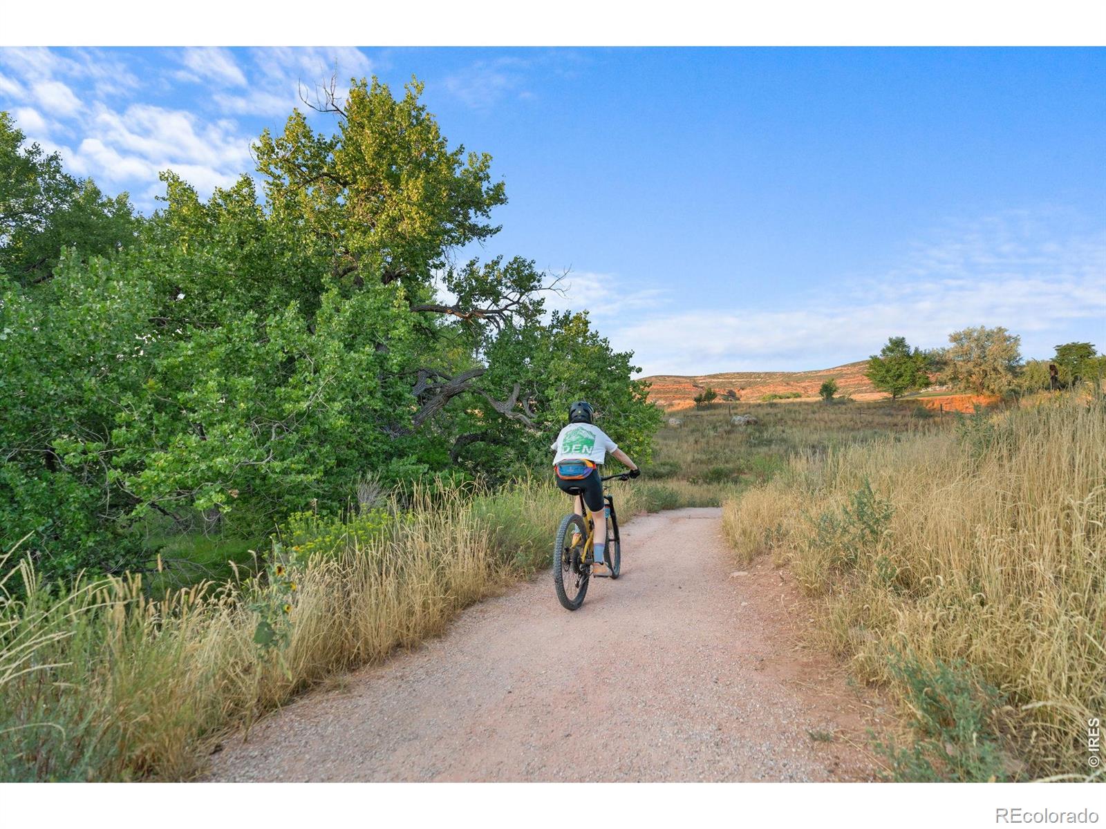 MLS Image #48 for 4262  pin oak drive,loveland, Colorado