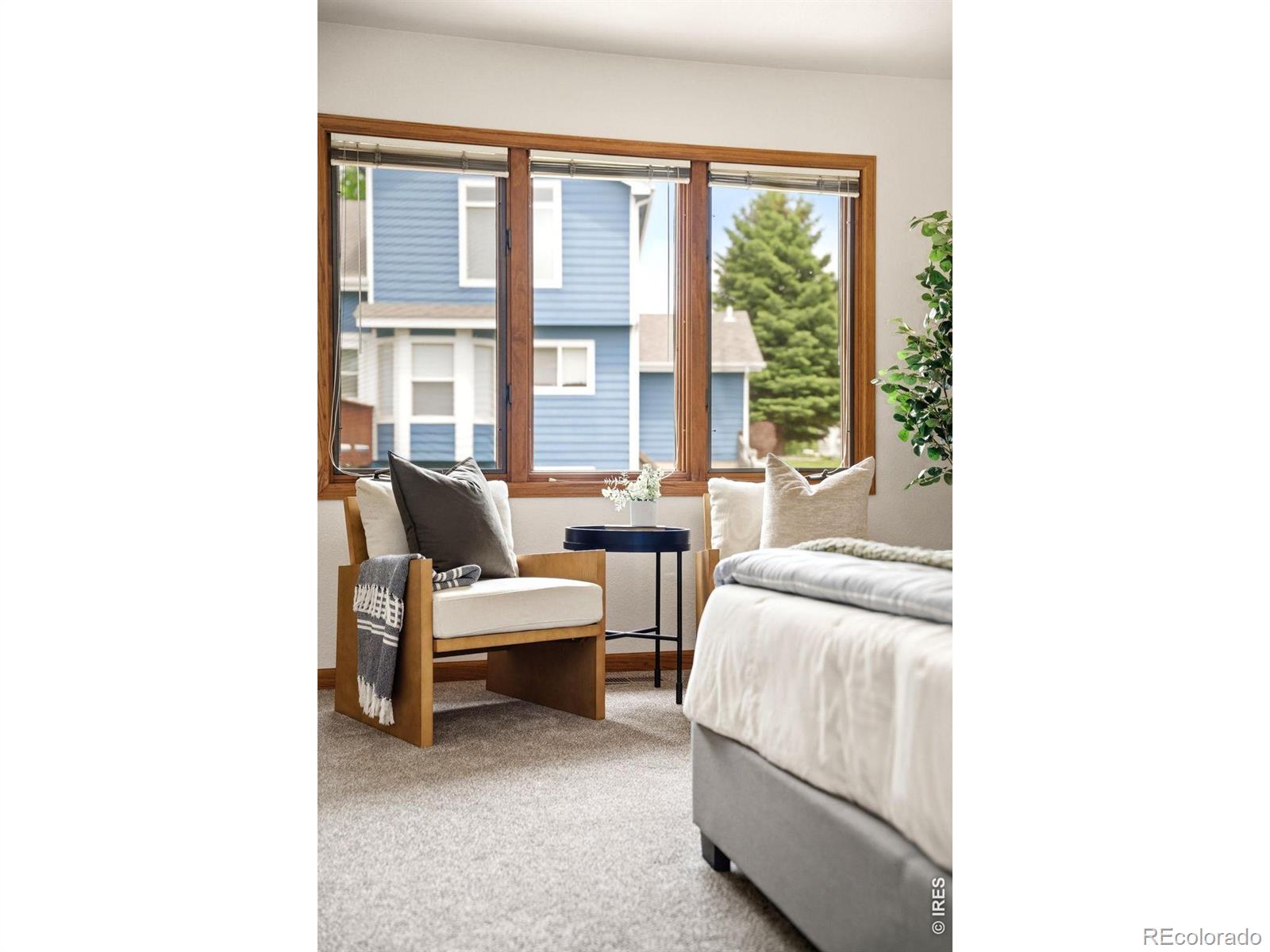 MLS Image #18 for 6401  finch court,fort collins, Colorado