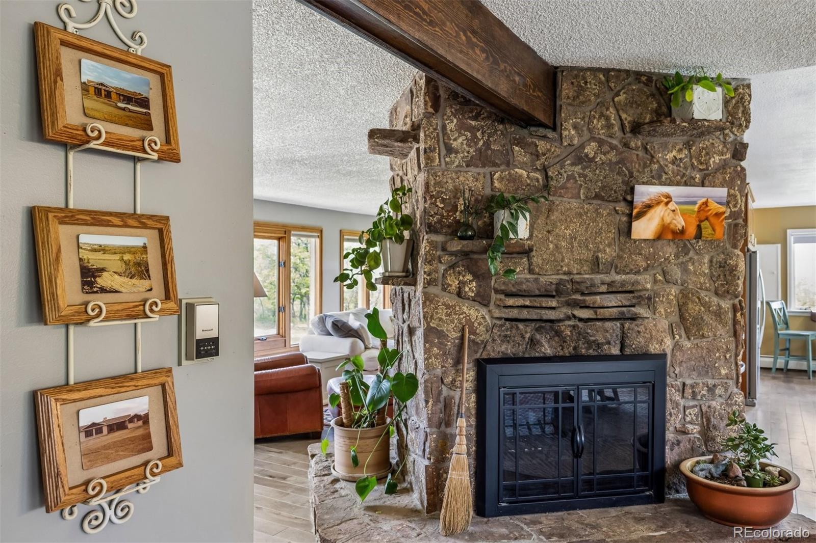 MLS Image #10 for 6610  meadowbrook lane,sedalia, Colorado