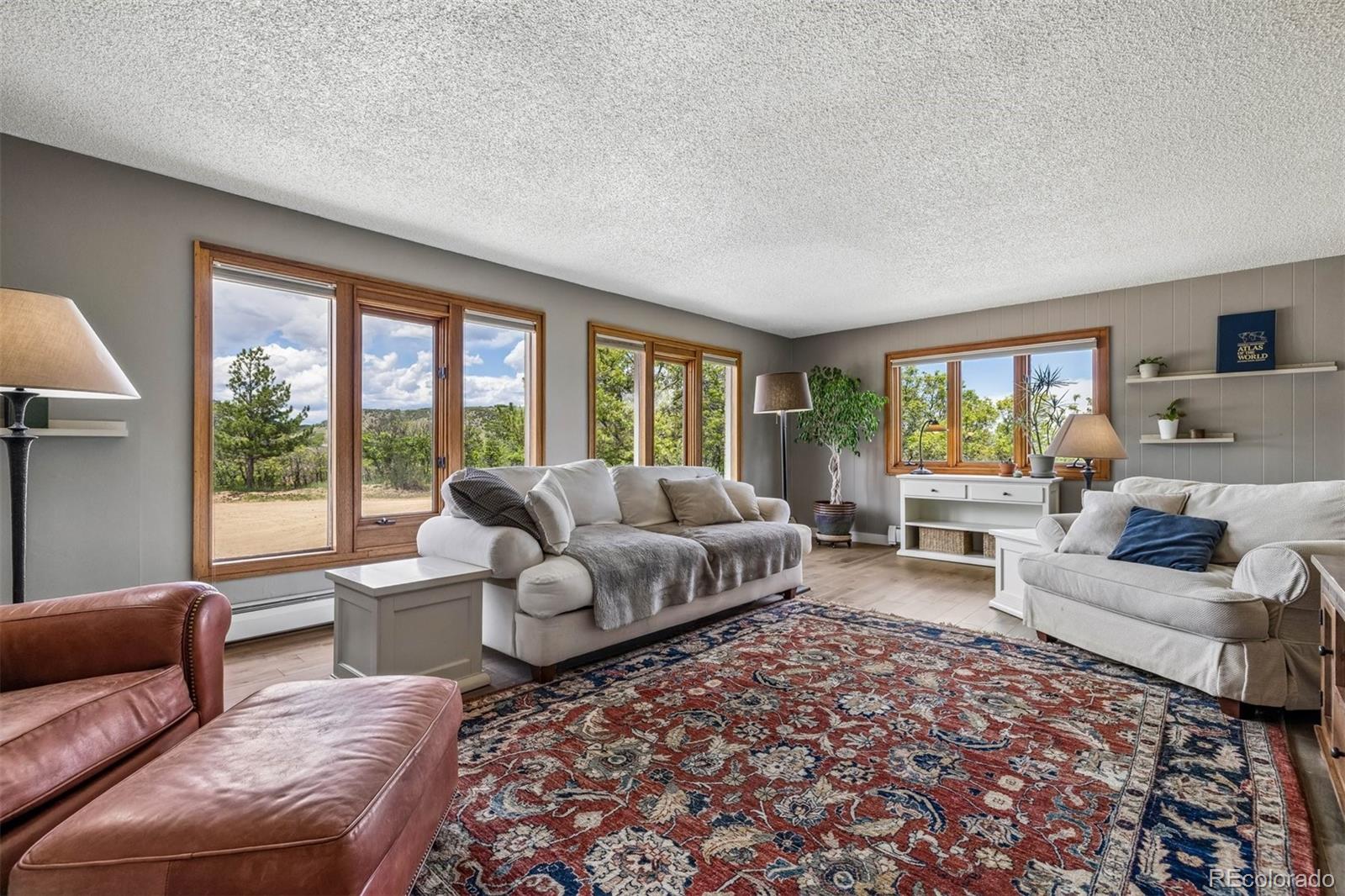 MLS Image #5 for 6610  meadowbrook lane,sedalia, Colorado