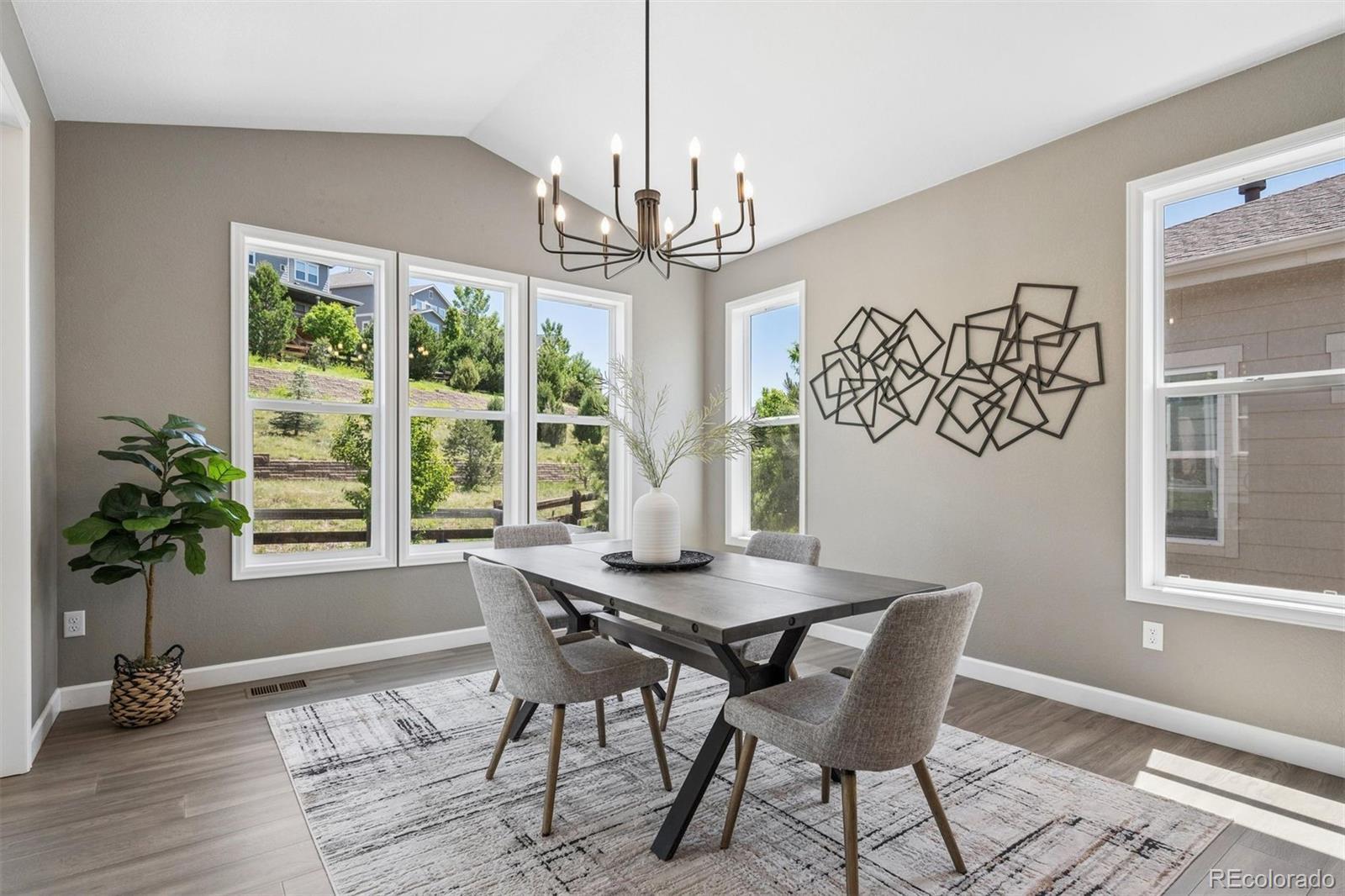 MLS Image #7 for 13034  bridge view lane,parker, Colorado