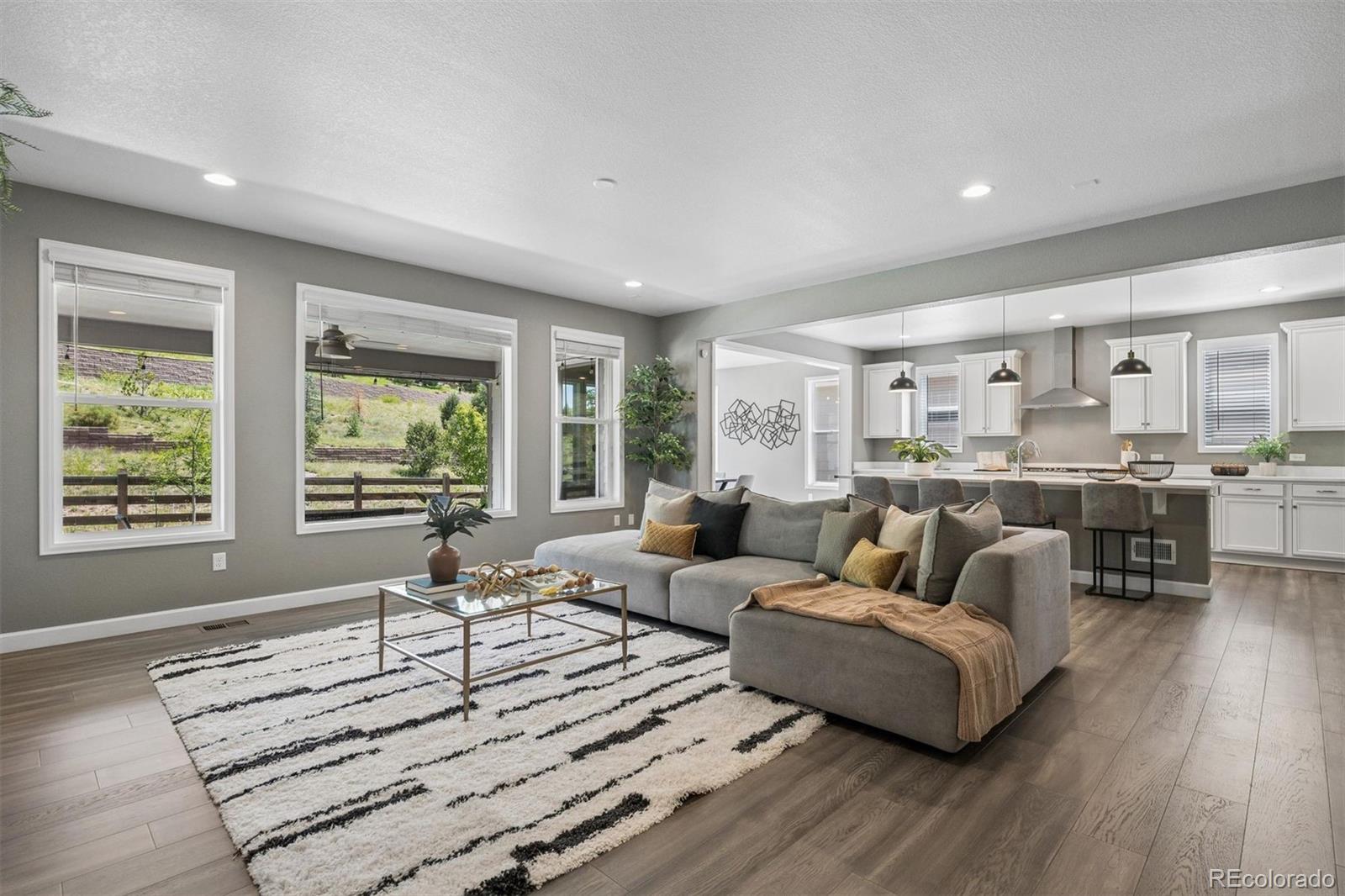 MLS Image #9 for 13034  bridge view lane,parker, Colorado