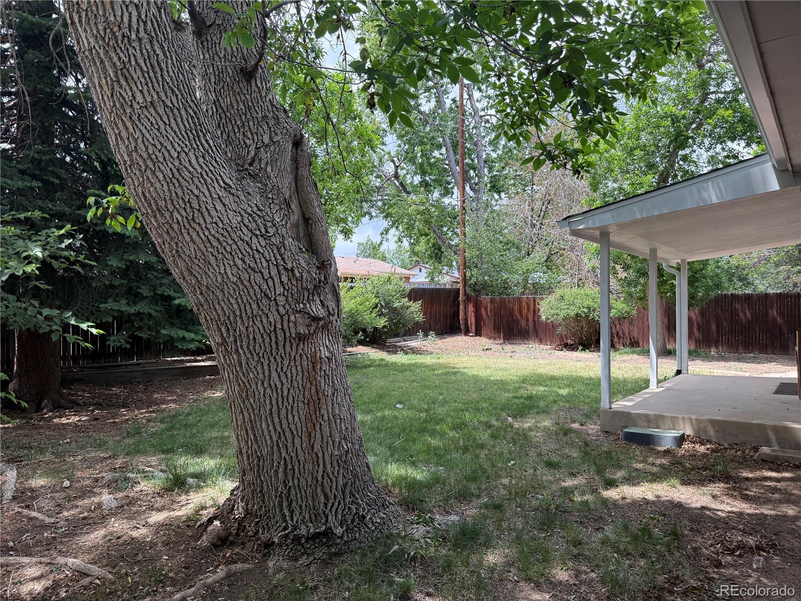 MLS Image #21 for 1489 s carr street,lakewood, Colorado