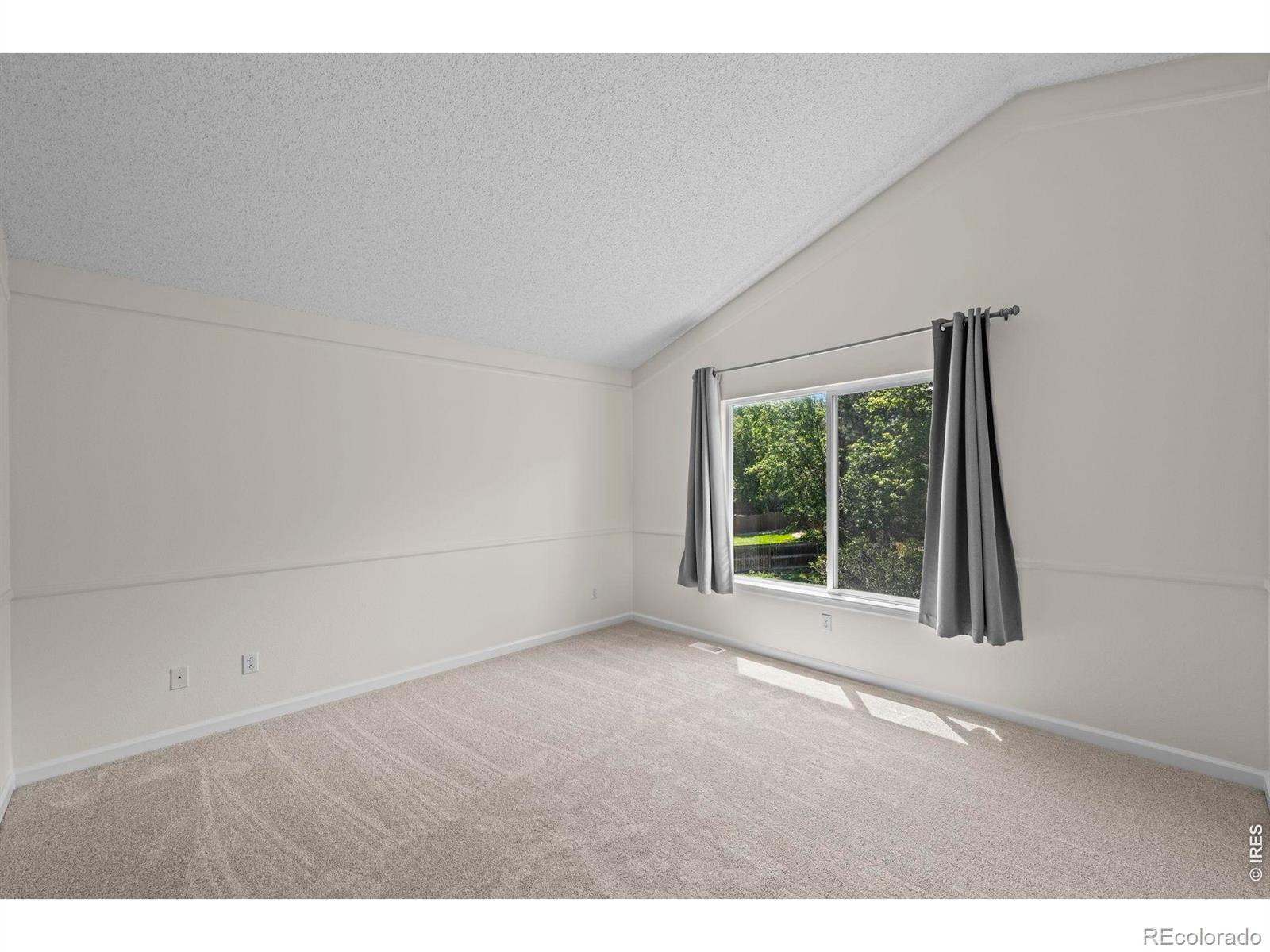MLS Image #21 for 1461  clover creek drive,longmont, Colorado