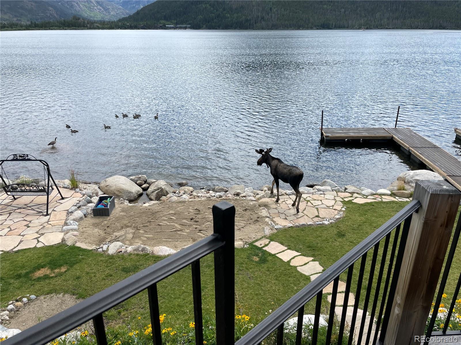 MLS Image #43 for 210  grand county road 691 ,grand lake, Colorado