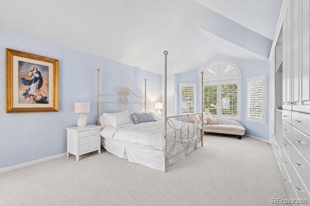 MLS Image #21 for 17094 e dorado drive,centennial, Colorado
