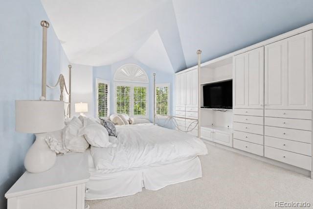 MLS Image #22 for 17094 e dorado drive,centennial, Colorado