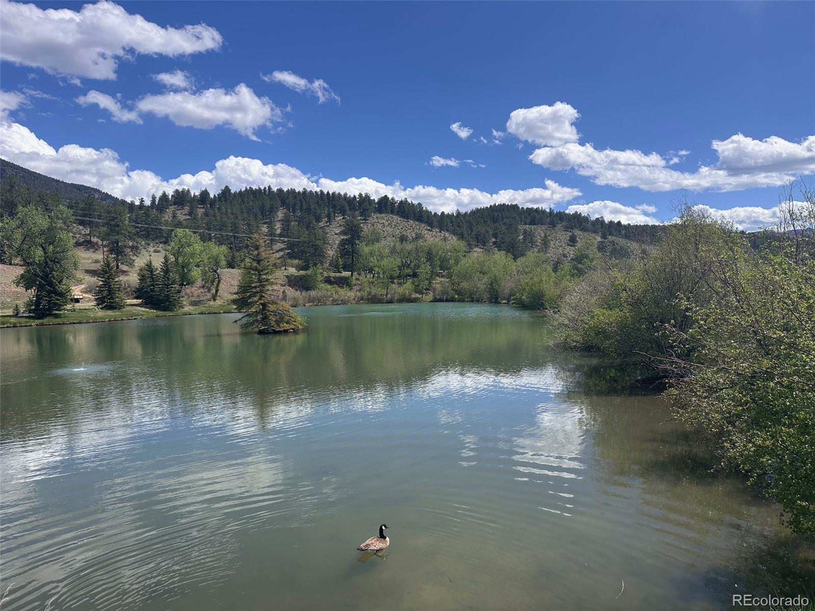 MLS Image #24 for 53  scully lane,shawnee, Colorado