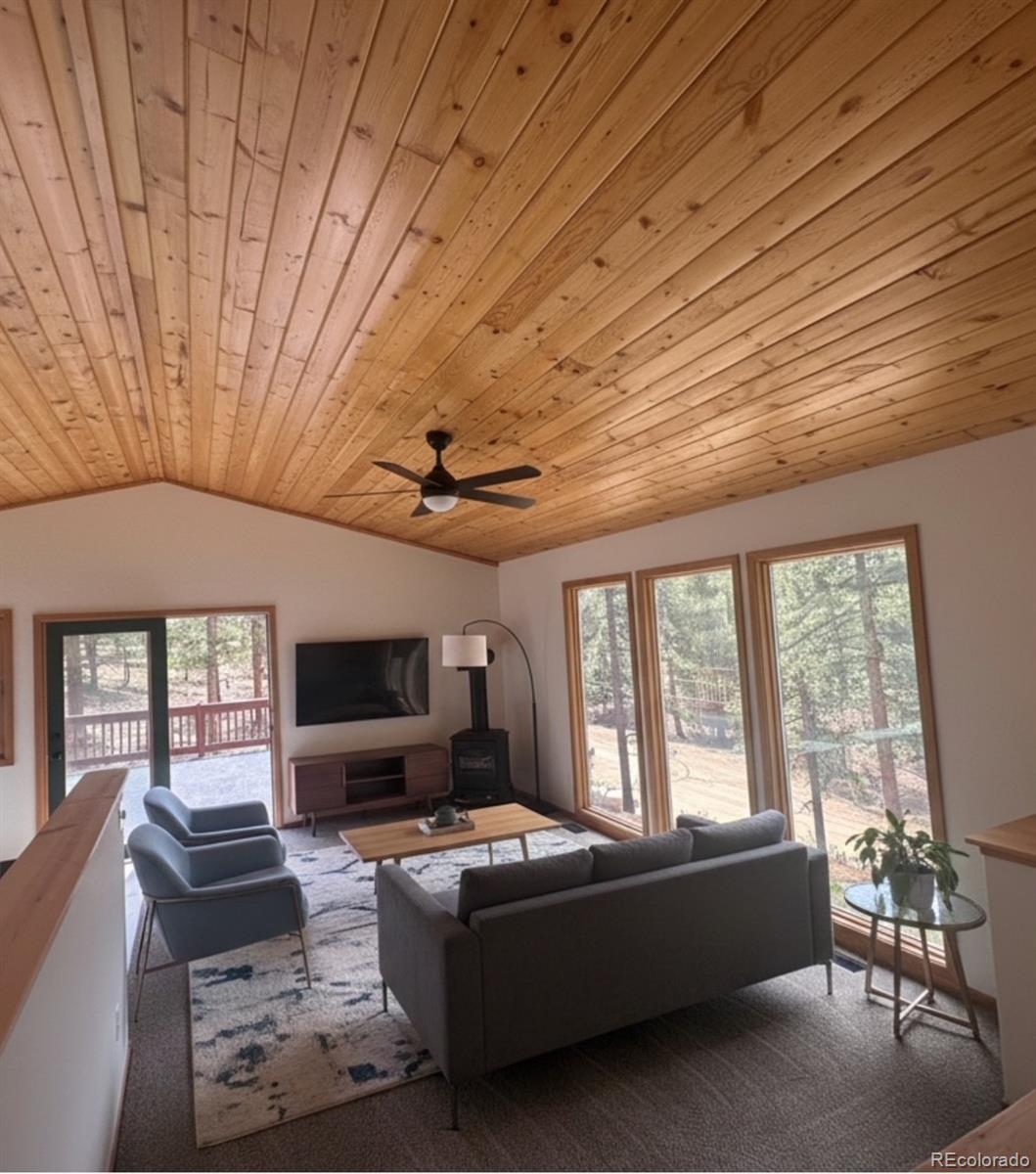 MLS Image #8 for 53  scully lane,shawnee, Colorado