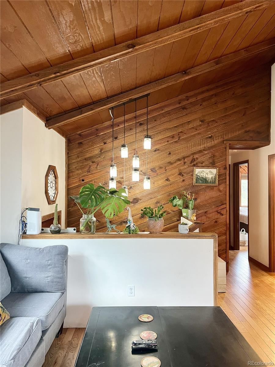 MLS Image #12 for 362  raven drive,bailey, Colorado
