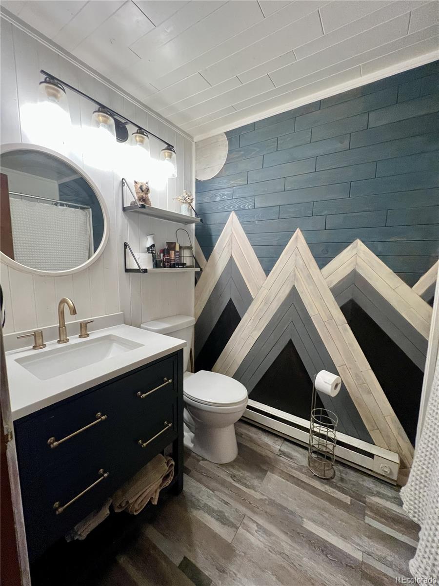 MLS Image #14 for 362  raven drive,bailey, Colorado