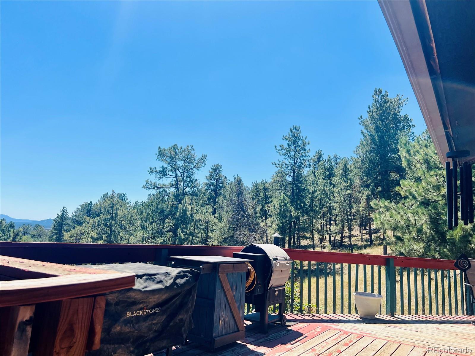 MLS Image #17 for 362  raven drive,bailey, Colorado