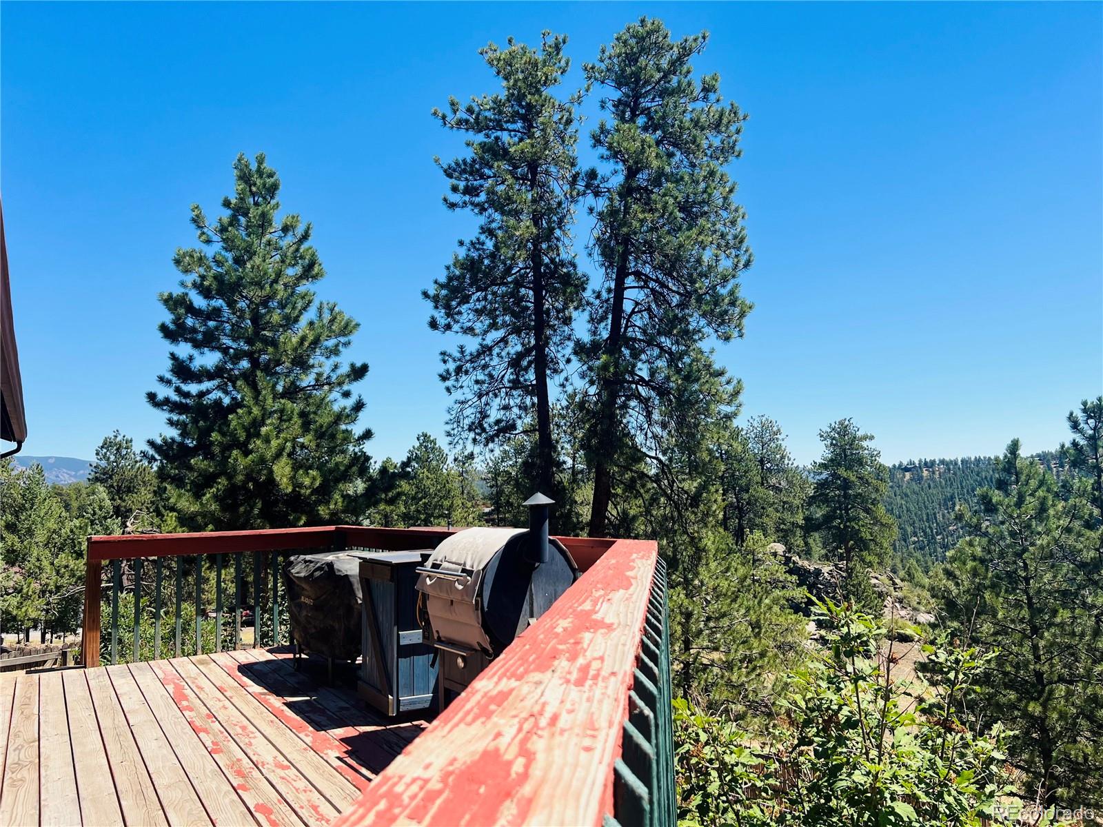 MLS Image #19 for 362  raven drive,bailey, Colorado