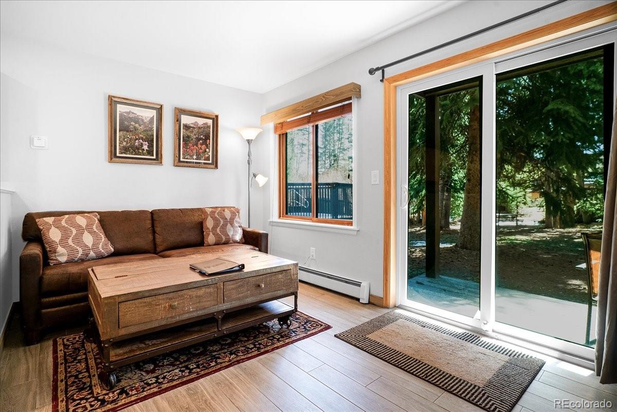 MLS Image #1 for 120  sawmill road 106,breckenridge, Colorado