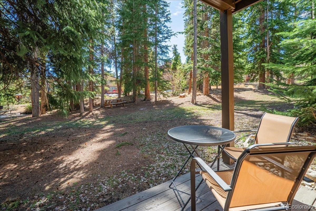 MLS Image #12 for 120  sawmill road 106,breckenridge, Colorado