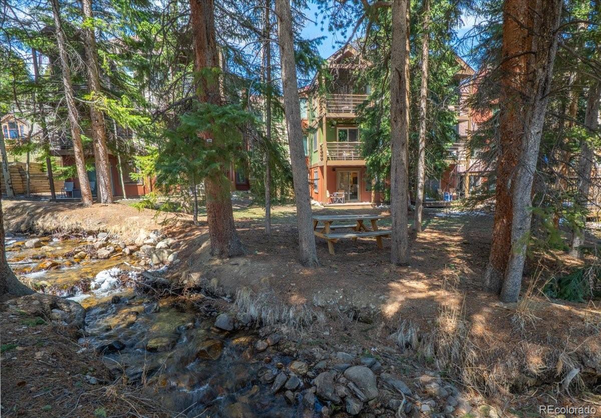 MLS Image #16 for 120  sawmill road 106,breckenridge, Colorado