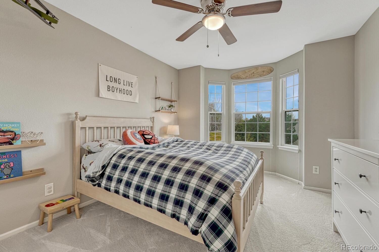 MLS Image #40 for 11508  crow hill drive,parker, Colorado